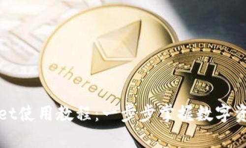 tpWallet使用教程：一步步掌握数字资产管理
