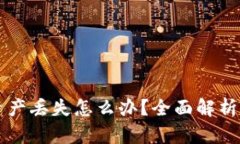 tpWallet资产丢失怎么办？全面解析及解