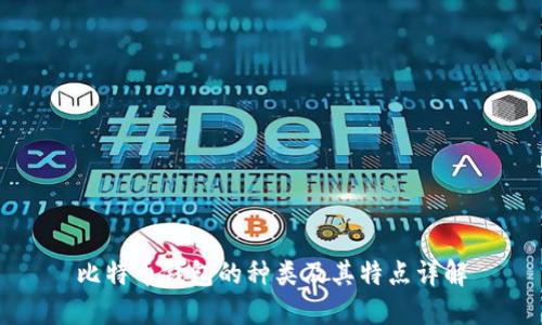 比特币钱包的种类及其特点详解