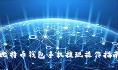 比特币钱包手机提现操作指南
