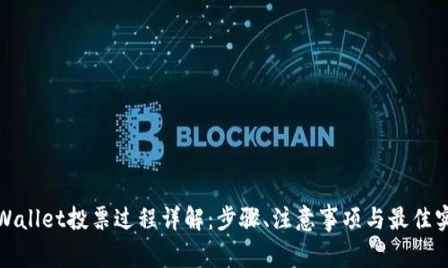 tpWallet投票过程详解：步骤、注意事项与最佳实践
