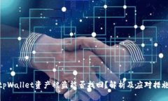 tpWallet资产被盗能否找回？解析及应对