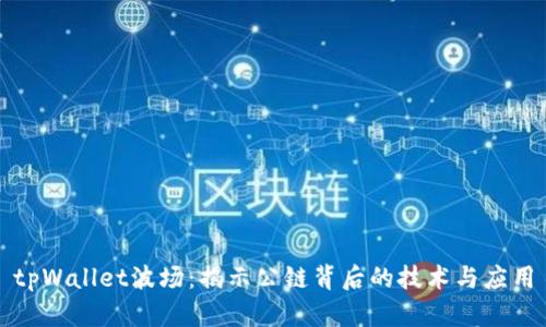 tpWallet波场：揭示公链背后的技术与应用
