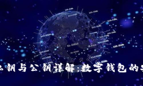 比特币私钥与公钥详解：数字钱包的安全之道