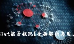 tpWallet能否提现？全面解析与用户指南