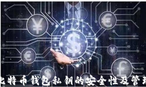 
著名比特币钱包私钥的安全性及管理技巧
