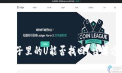 tpWallet池子里的U能否找回？详解方法与