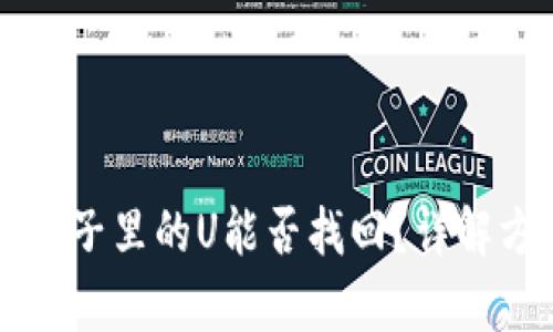 tpWallet池子里的U能否找回？详解方法与方案
