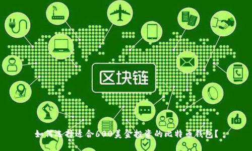 如何选择适合600美金投资的比特币钱包？