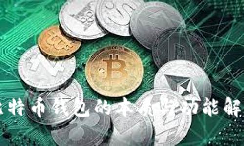 比特币钱包的本质与功能解析