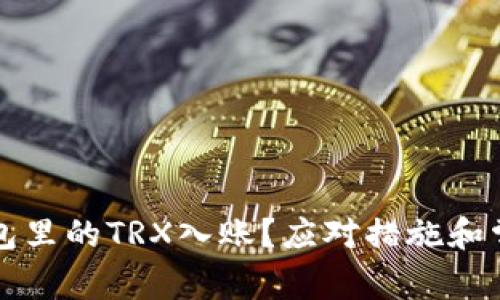 如何处理钱包里的TRX入账？应对措施和常见问题解析