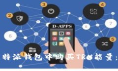 如何在比特派钱包中购买TRX能量：完整