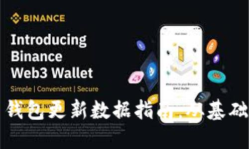 比特币钱包更新数据指南：从基础到高级