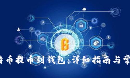  如何将比特币提币到钱包：详细指南与常见问题解答