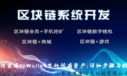 如何查看tpWallet里的所有资产:详细步骤与技巧