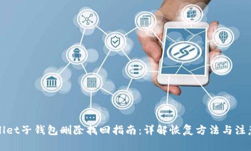 tpWallet子钱包删除找回指南：详解恢复方法与注意事项