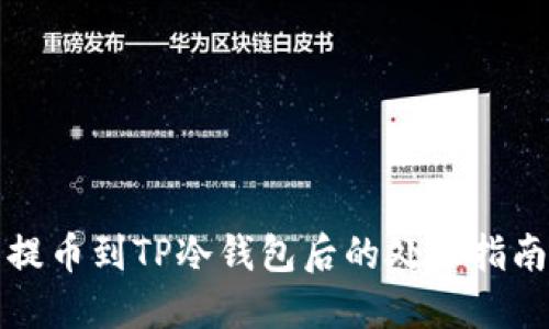 提币到TP冷钱包后的处理指南