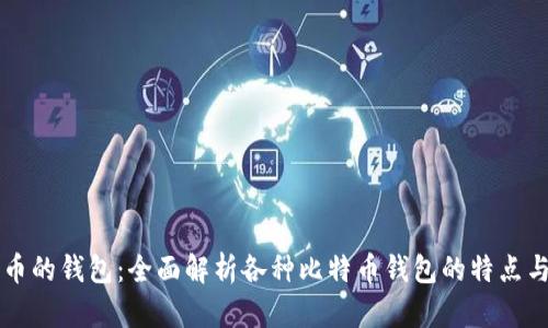 支持比特币的钱包：全面解析各种比特币钱包的特点与选择推荐