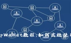 column全面解析tpWallet教程：如何高效使