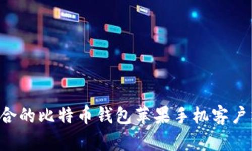 如何选择适合的比特币钱包苹果手机客户端：全面指南