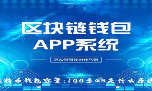 比特币钱包容量：100多GB是什么原因？