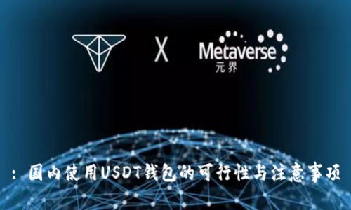 : 国内使用USDT钱包的可行性与注意事项