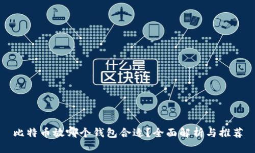 比特币放哪个钱包合适？全面解析与推荐