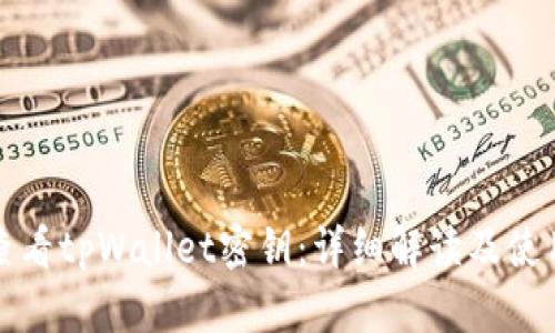 如何查看tpWallet密钥：详细解读及使用技巧