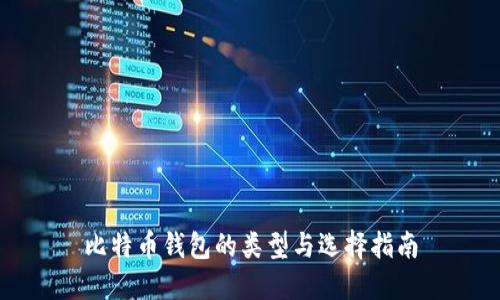 比特币钱包的类型与选择指南
