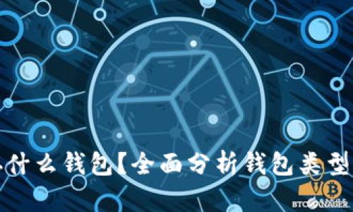 狗狗币存什么钱包？全面分析钱包类型及安全性