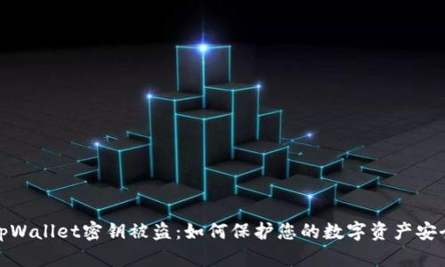 tpWallet密钥被盗：如何保护您的数字资产安全