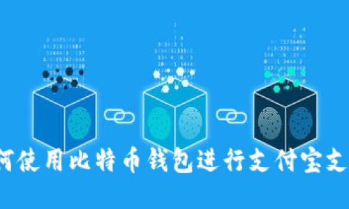 如何使用比特币钱包进行支付宝支付？