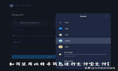 如何使用比特币钱包进行支付宝支付？