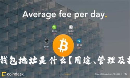 USDT的钱包地址是什么？用途、管理及操作指南