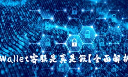 电报上的tpWallet客服是真是假？全面解析与用户指南