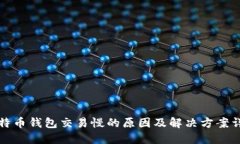 比特币钱包交易慢的原因及解决方案详