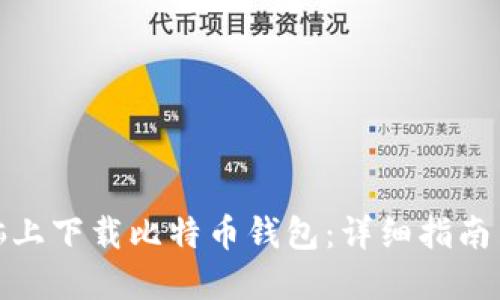 如何在电脑上下载比特币钱包：详细指南与操作步骤