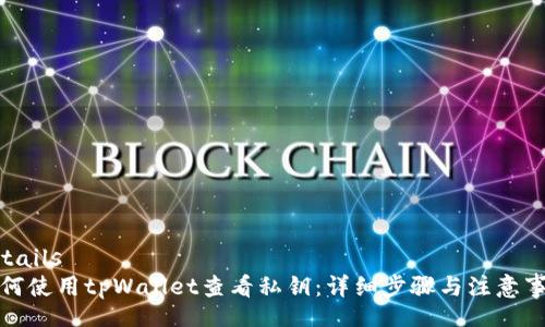 details
如何使用tpWallet查看私钥：详细步骤与注意事项