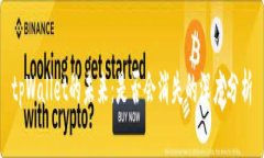 tpWallet的未来：是否会消失的深度分析