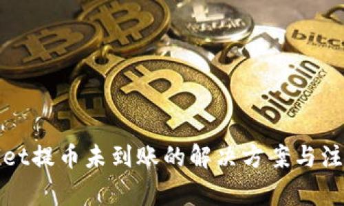 tpWallet提币未到账的解决方案与注意事项