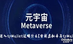 虚拟币能进入tpWallet说明什么？分析虚