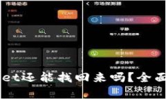 手机掉了tpWallet还能找回来吗？全面解