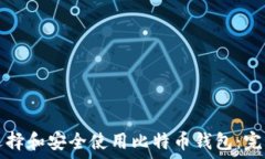  如何选择和安全使用比特币钱包：完