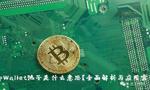 tpWallet池子是什么意思？全面解析与应用实例