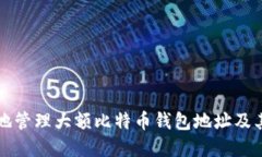 如何安全地管理大额比特币钱包地址及