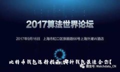 比特币钱包选择指南：哪种钱包最适合