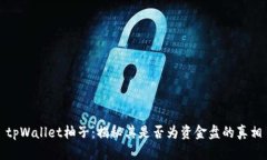 tpWallet柚子：揭秘其是否为资金盘的真