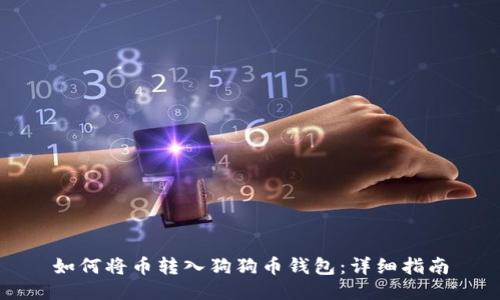 如何将币转入狗狗币钱包：详细指南