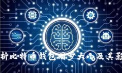 全面解析比特币钱包同步大小及其影响