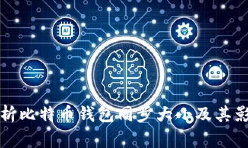 全面解析比特币钱包同步大小及其影响因素